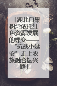 湖北白果树湾依托红色资源发展的蝶变——“抗战小延安”走上农旅融合振兴路