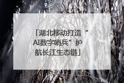 湖北移动打造“AI数字哨兵”护航长江生态链