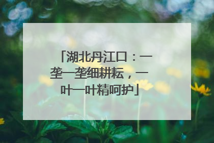 湖北丹江口：一垄一垄细耕耘，一叶一叶精呵护