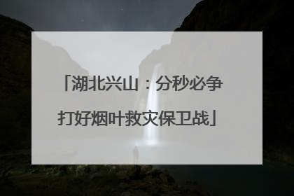 湖北兴山：分秒必争 打好烟叶救灾保卫战