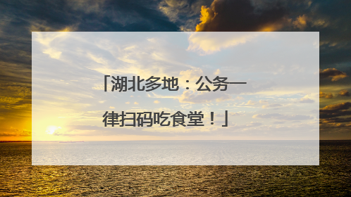 湖北多地：公务一律扫码吃食堂！