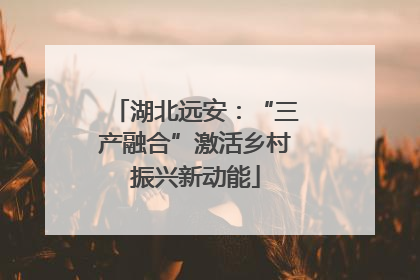 湖北远安：“三产融合”激活乡村振兴新动能