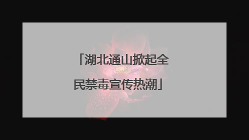 湖北通山掀起全民禁毒宣传热潮