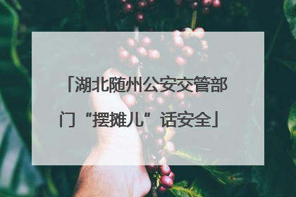 湖北随州公安交管部门“摆摊儿”话安全