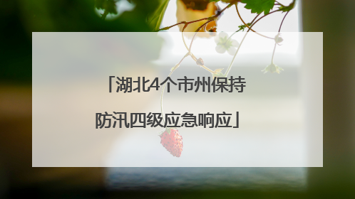 湖北4个市州保持防汛四级应急响应
