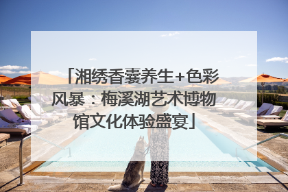 湘绣香囊养生+色彩风暴：梅溪湖艺术博物馆文化体验盛宴