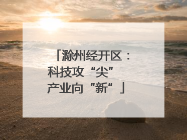 滁州经开区：科技攻“尖” 产业向“新”