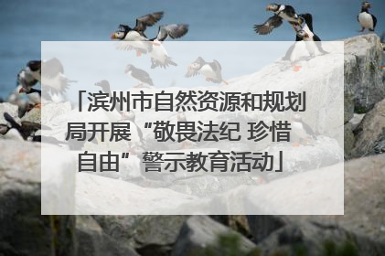 滨州市自然资源和规划局开展“敬畏法纪 珍惜自由”警示教育活动