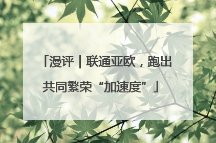漫评｜联通亚欧，跑出共同繁荣“加速度”