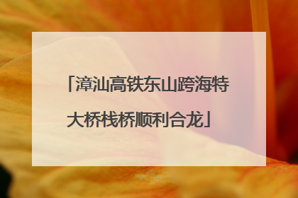 漳汕高铁东山跨海特大桥栈桥顺利合龙