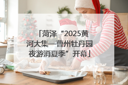 菏泽“2025黄河大集—曹州牡丹园夜游消夏季”开幕