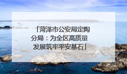 菏泽市公安局定陶分局：为全区高质量发展筑牢平安基石