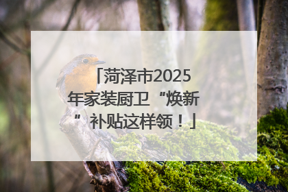 菏泽市2025年家装厨卫“焕新”补贴这样领！