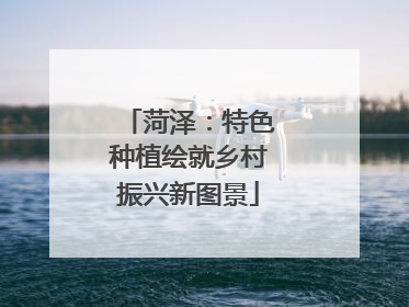 菏泽：特色种植绘就乡村振兴新图景