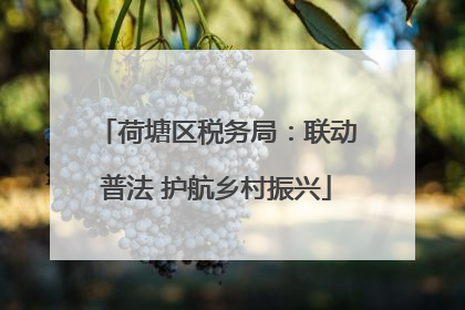 荷塘区税务局：联动普法 护航乡村振兴