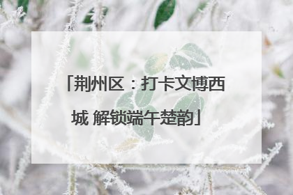 荆州区：打卡文博西城 解锁端午楚韵