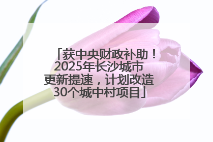 获中央财政补助！2025年长沙城市更新提速，计划改造30个城中村项目
