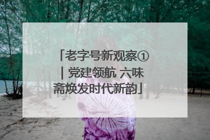 老字号新观察①｜党建领航 六味斋焕发时代新韵