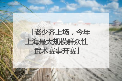 老少齐上场，今年上海最大规模群众性武术赛事开赛