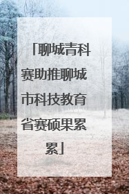 聊城青科赛助推聊城市科技教育省赛硕果累累