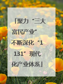 聚力“三大富民产业” 不断深化“1131”现代化产业体系