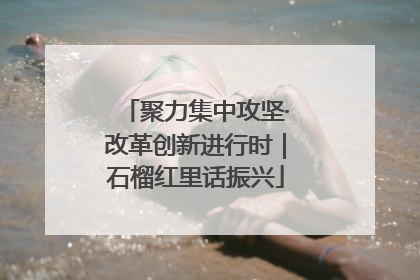 聚力集中攻坚·改革创新进行时｜石榴红里话振兴