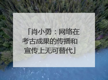 肖小勇：网络在考古成果的传播和宣传上无可替代
