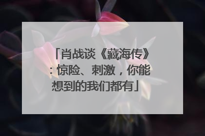 肖战谈《藏海传》：惊险、刺激，你能想到的我们都有