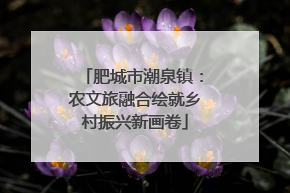 肥城市潮泉镇：农文旅融合绘就乡村振兴新画卷