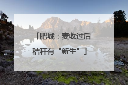 肥城：麦收过后秸秆有“新生”
