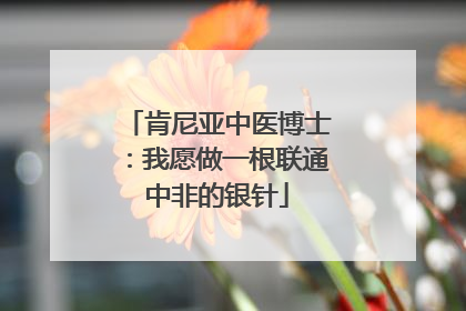 肯尼亚中医博士：我愿做一根联通中非的银针