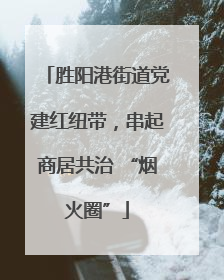 胜阳港街道党建红纽带，串起商居共治 “烟火圈”