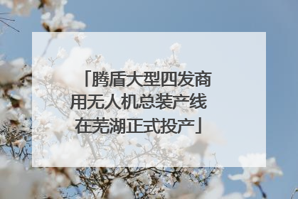 腾盾大型四发商用无人机总装产线在芜湖正式投产