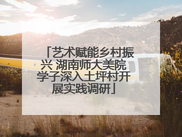 艺术赋能乡村振兴 湖南师大美院学子深入土坪村开展实践调研