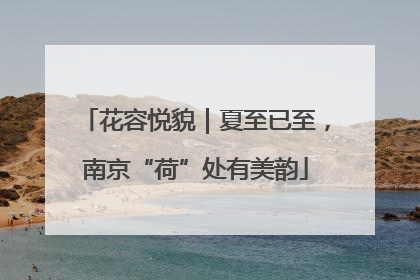 花容悦貌｜夏至已至，南京“荷”处有美韵