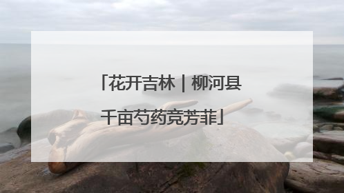 花开吉林｜柳河县千亩芍药竞芳菲