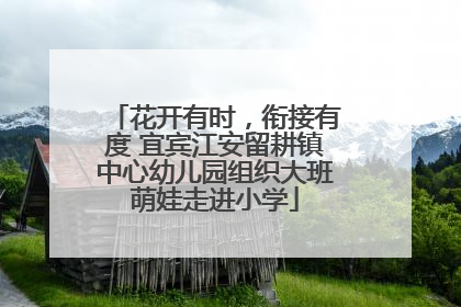花开有时，衔接有度 宜宾江安留耕镇中心幼儿园组织大班萌娃走进小学