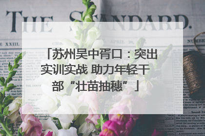 苏州吴中胥口：突出实训实战 助力年轻干部“壮苗抽穗”