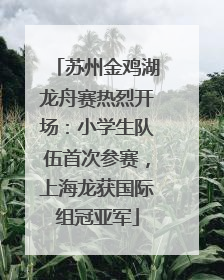 苏州金鸡湖龙舟赛热烈开场：小学生队伍首次参赛，上海龙获国际组冠亚军