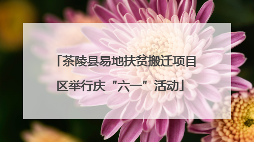 茶陵县易地扶贫搬迁项目区举行庆“六一”活动