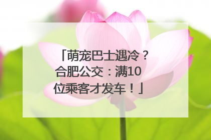 萌宠巴士遇冷？合肥公交：满10位乘客才发车！