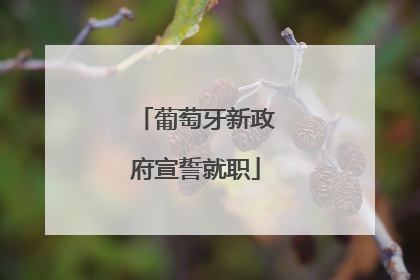 葡萄牙新政府宣誓就职