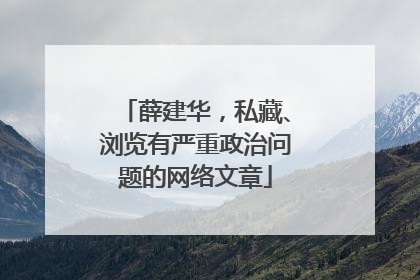 薛建华，私藏、浏览有严重政治问题的网络文章