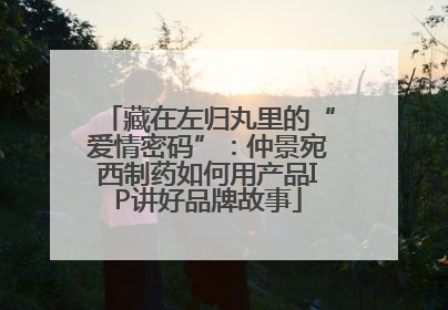 藏在左归丸里的“爱情密码”：仲景宛西制药如何用产品IP讲好品牌故事