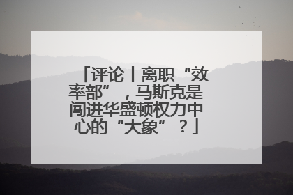 评论丨离职“效率部”，马斯克是闯进华盛顿权力中心的“大象”？