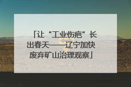 让“工业伤疤”长出春天——辽宁加快废弃矿山治理观察