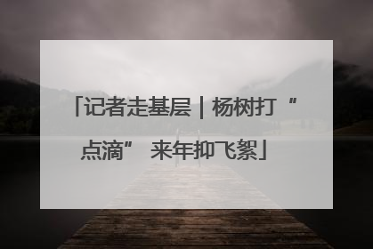 记者走基层｜杨树打“点滴” 来年抑飞絮