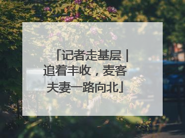 记者走基层｜追着丰收，麦客夫妻一路向北