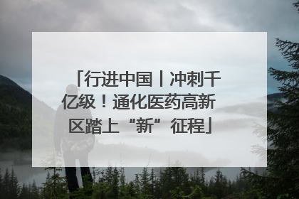 行进中国丨冲刺千亿级！通化医药高新区踏上“新”征程