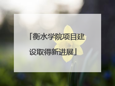 衡水学院项目建设取得新进展